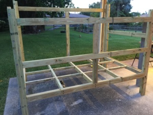 Chicken Coop