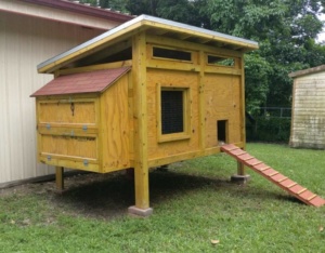 Chicken Coop